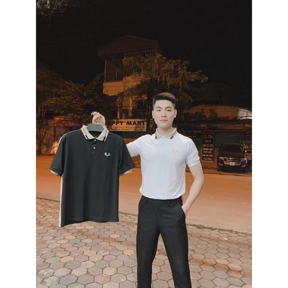 Áo polo nam DINO SPORTS áo phông polo có cổ thêu mát mịn thấm hút và thoáng khí
