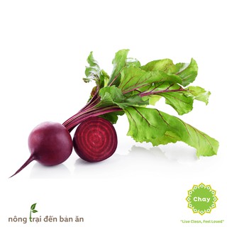 [Rau Củ Quả] - Gói 20g hạt giống củ dền đỏ Rouge De Detroit