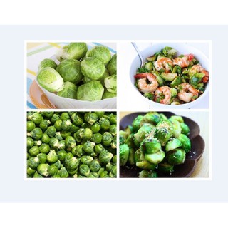 Hạt giống Bắp Cải Tí Hon Xanh