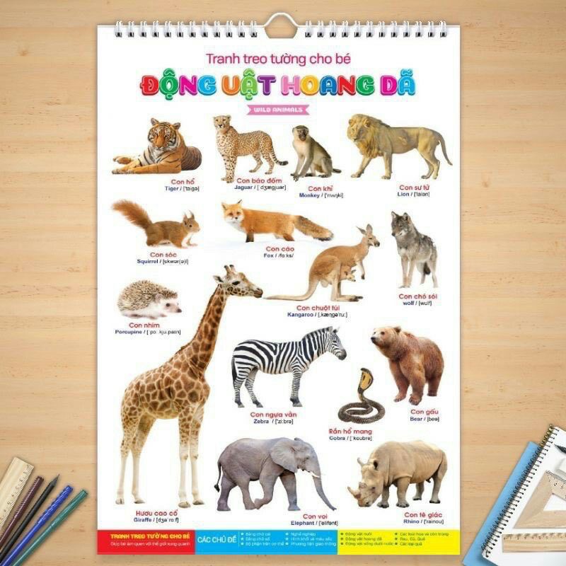 Tranh treo tường 14 chủ đề cho bé