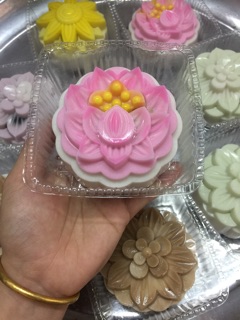 Bánh Trung Thu Rau Câu Handmade