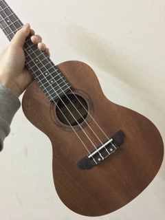 ĐÀN UKULELE CONCERT SYN