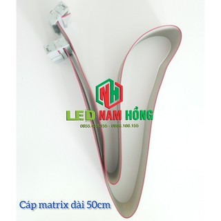 Set 5 sợi Cáp Module dài 50cm