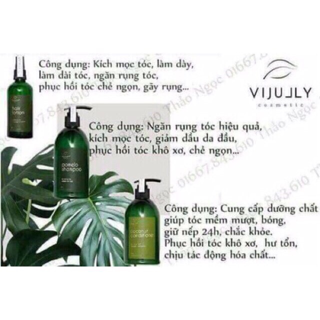 Dầu gội Vijully pomelo shampoo ( chính hãng cong ty )