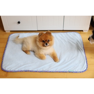 Thảm thú cưng mùa hè - DoggyMan