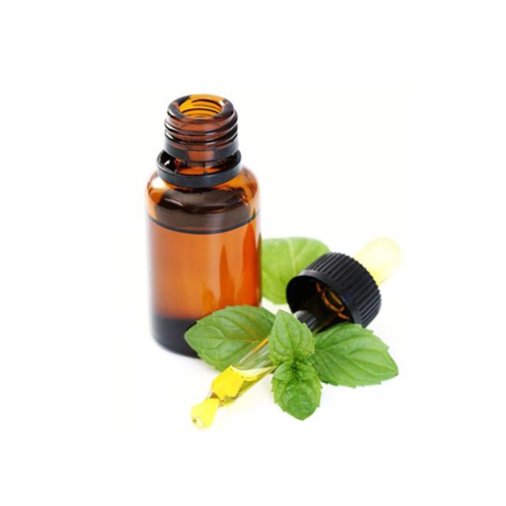 Tinh dầu bạc hà nguyên chất ( Peppermint essential Oil ) GUTY