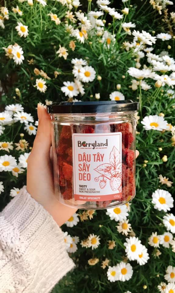 Dâu tây sấy dẻo Đà Lạt BerryLand 155g