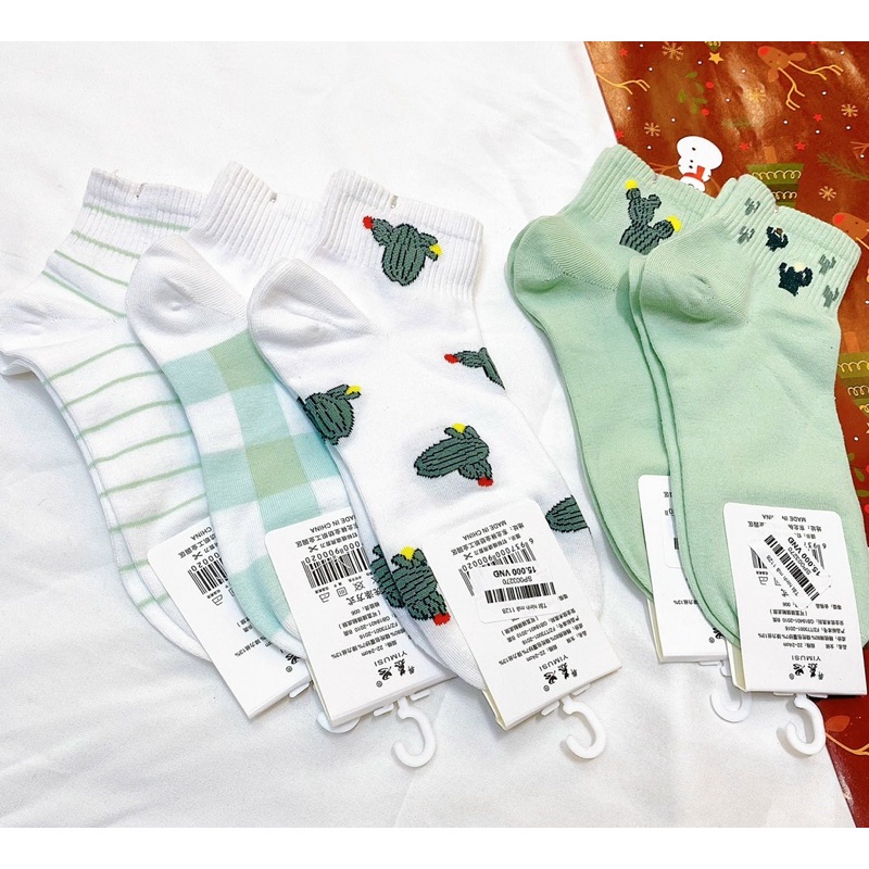 set 5 đôi tất cây xương rồng