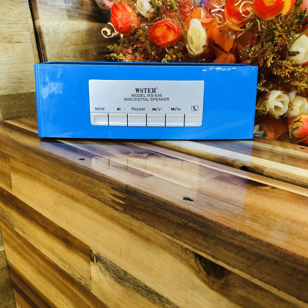 Loa kết nối bluetooth WSTER WS-636