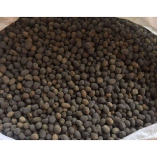 1 kg phân dê đã qua xử lý