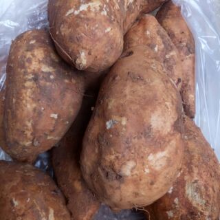 Khoai lang Mật củ tươi 1kg