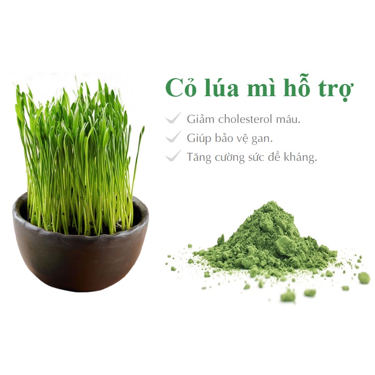 Bột Cỏ Lúa Mì Hữu Cơ Sấy Lạnh Đẹp Da, Giữ Gìn Vóc Dáng