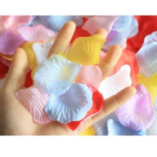 Combo 10 bịch cánh hoa giả trang trí tiệc cưới