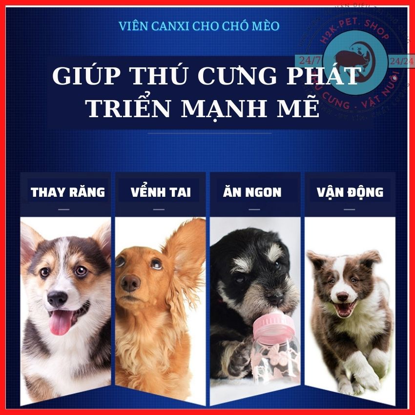 [BÁN LẺ 1 VIÊN] Canxi Cho Chó Mèo - Phát Triển Khung Xương, Chắc Xương, Mượt Lông, Chống Bại Liệt Hộp 180 Viên