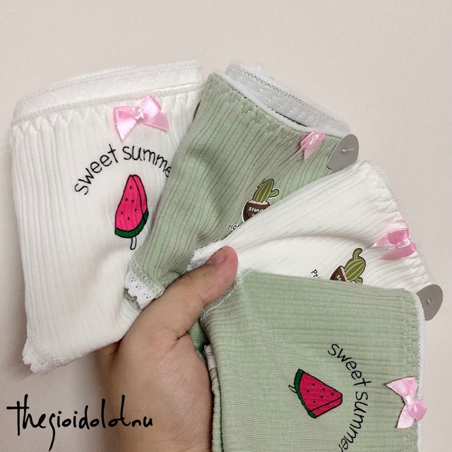 [Có video sản phẩm] Set 4 quần lót cotton tăm hoạ tiết dưa hấu, xương rồng | BigBuy360 - bigbuy360.vn