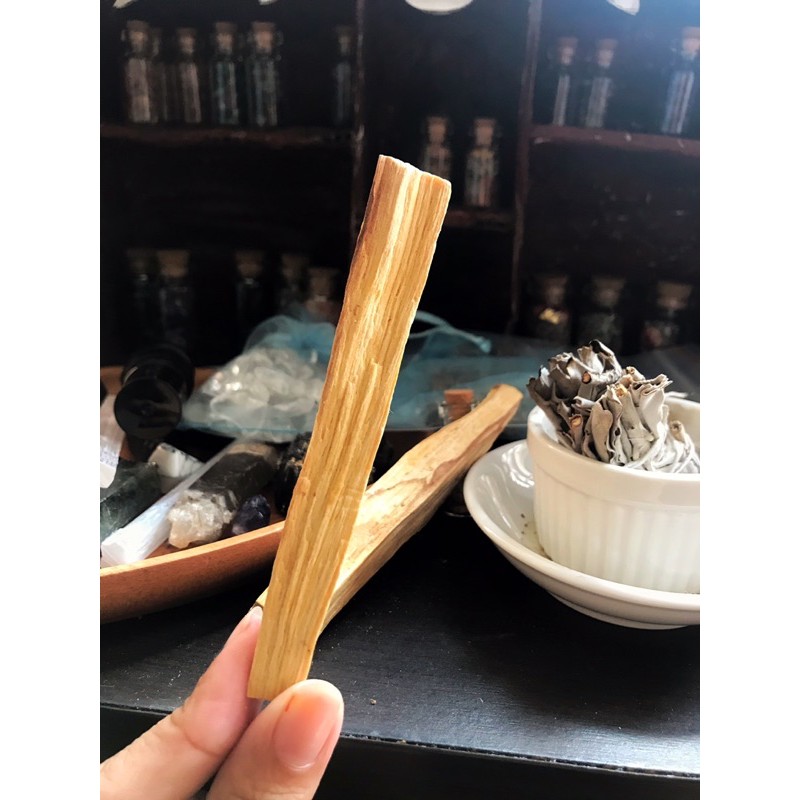 Palo Santo - Gỗ trắc xanh thanh tẩy