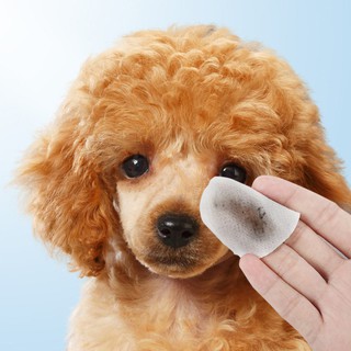 Khăn lau vết ố mắt cho chó mèo - Khăn lau mắt Borammy - Khăn lau vệ sinh mắt, tai thú cưng an toàn, tiện dụng.