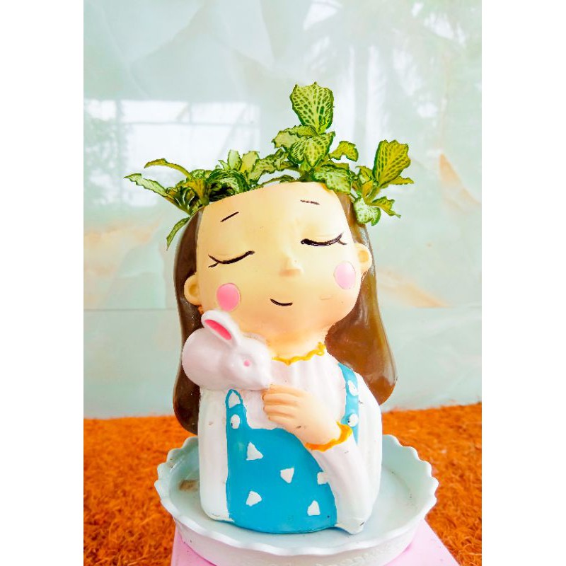 Chậu Thú Composite Đã Mix Cây