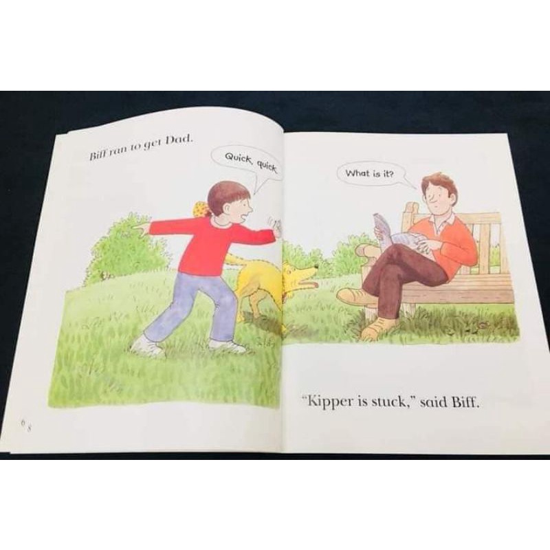 READ WITH BIFF, CHIP AND KIPPER LEVEL 4-6