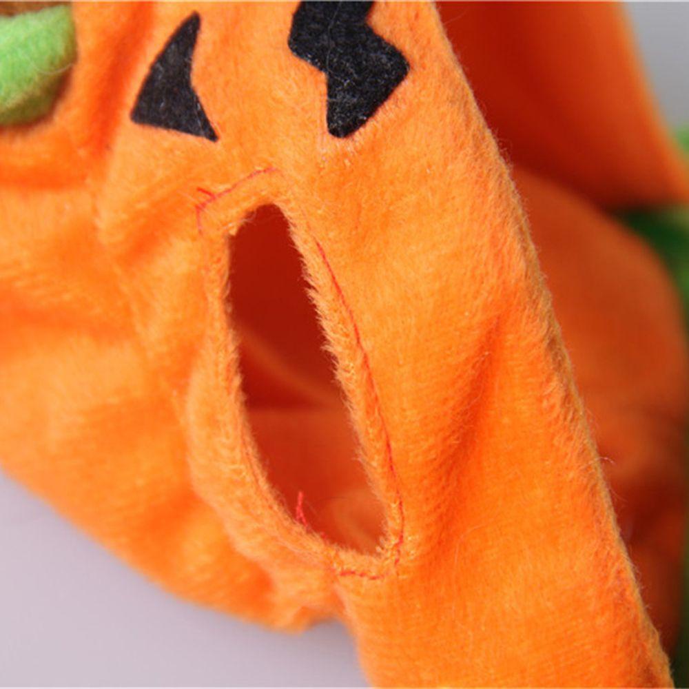 Trang PhụC Halloween Cho Thú Cưng Biến HìNh