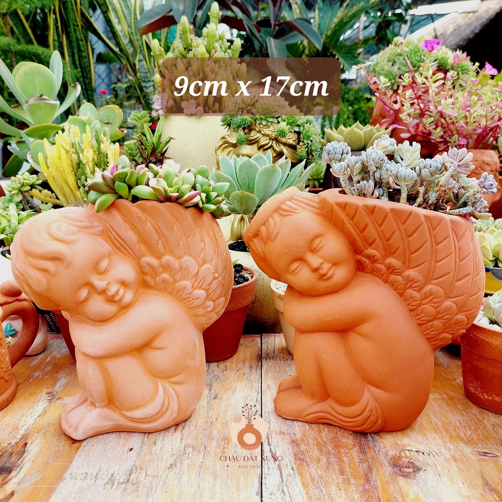 Chậu đất nung, Chậu sen đá - Thiên thần nhỏ 917, miệng chậu 9cm, chiều cao 17cm