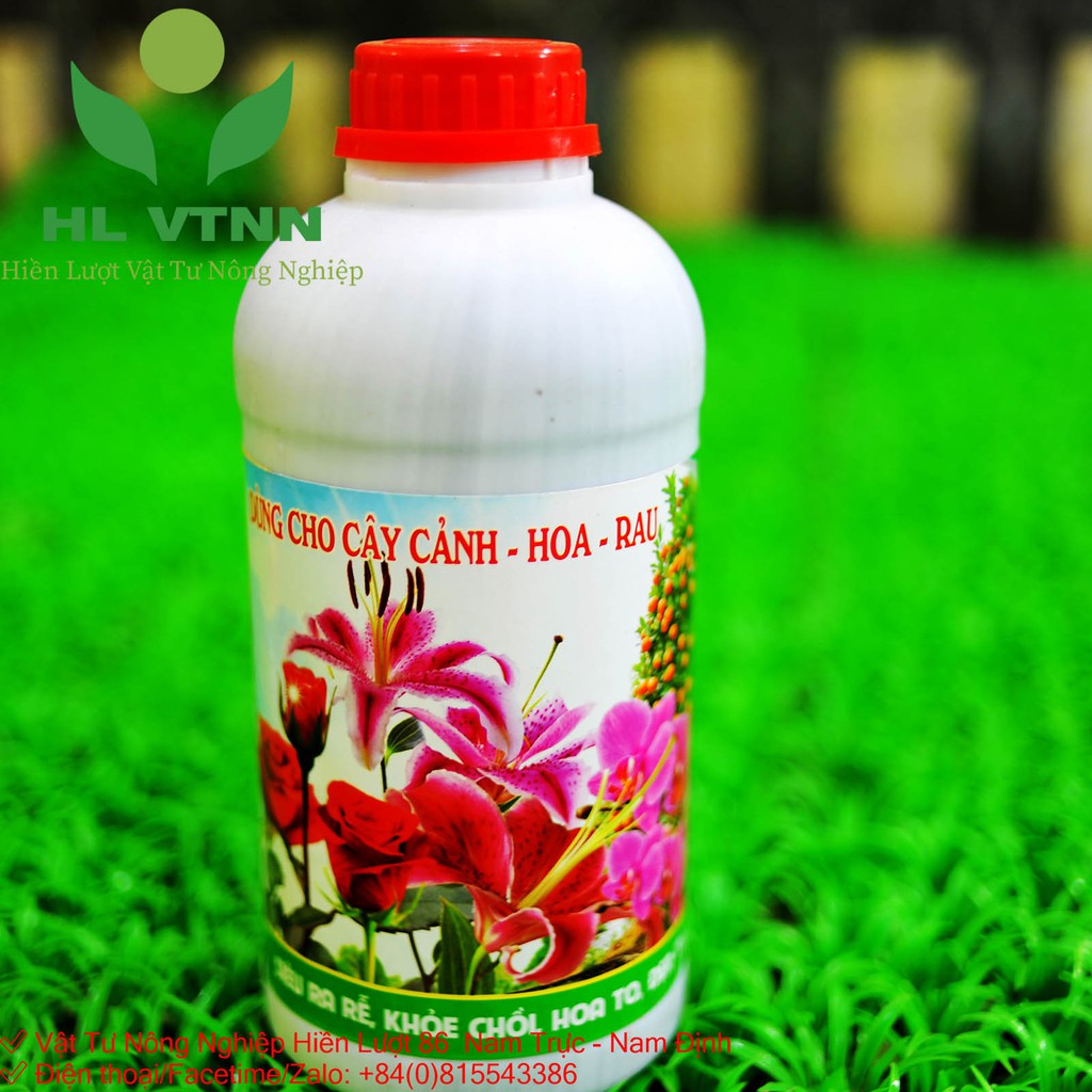 Phân vi sinh cho Phong Lan, Cây Cảnh-VTNN HIỀN LƯỢT