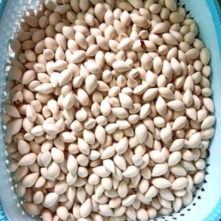 Bạch Quả 500G