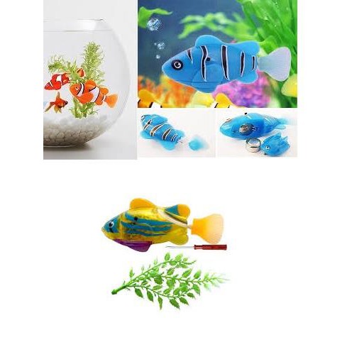 Combo 2 con Đồ chơi cá tự bơi Robo Fish có đèn led ( ngộ ngĩnh)