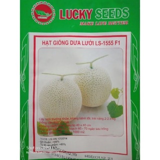 Hạt giống dưa lưới quả tròn