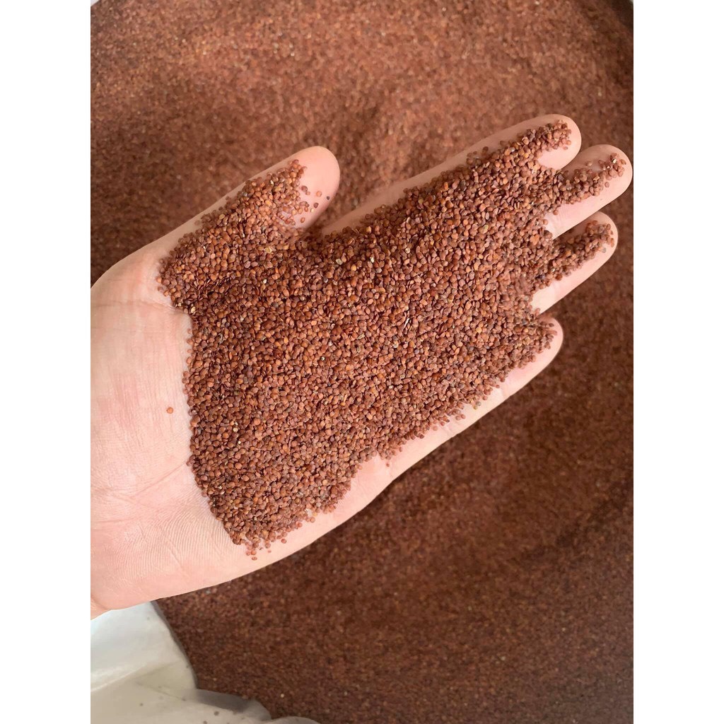 Mặt Nạ Ngũ Hoa Gói 1kg Ngũ Hoa Hạt Nguyên Chất Organic