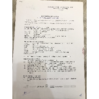 núm ty como tomo (bán lẻ 1 cái)- HÀNG CÔNG TY