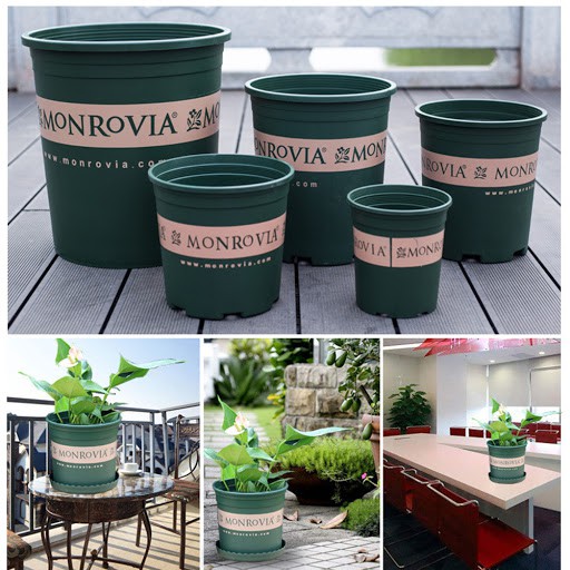 Chậu nhựa trồng hoa Monrovia 5gal (28x31cm)_ Chậu Mon loại 1 dày hàng cty VN