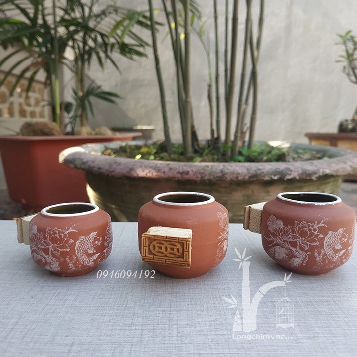 Cóng Chim Cảnh Cho Lồng Chào Mào