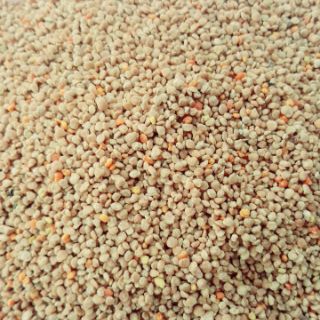 Phấn hoa mật ong DakLak  - 0,5kg