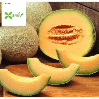 Hạt giống Dưa Lưới Tròn 10 Hạt