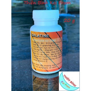 GARATINE - thuốc trị khuẩn, đỏ người cho cá Koi 20g