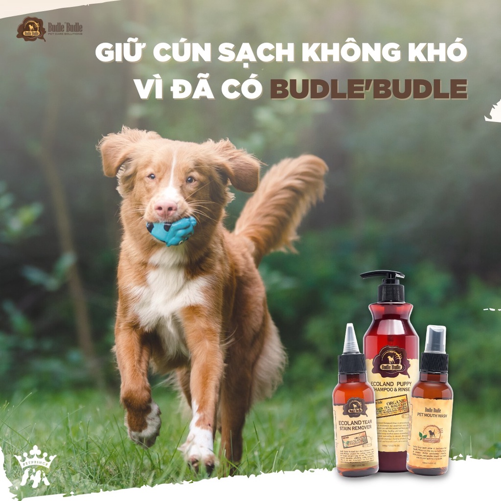 Vệ sinh tai cho chó nước rửa tai Budle'Budle 120ml, dung dịch vệ sinh sạch ve rận tai cún mèo Con Mèo Xiêm shop
