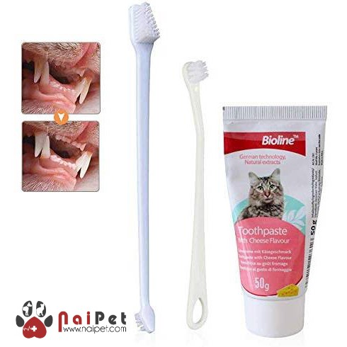 Bộ Đánh Răng Kem Đánh Răng Bàn Chải Đánh Răng Mèo Dental Hygiene Set Bioline 50g