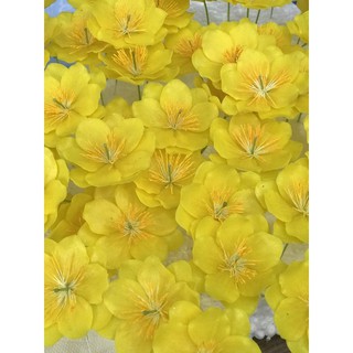 HOA MAI   ĐẤT SÉT  (1 hoa)