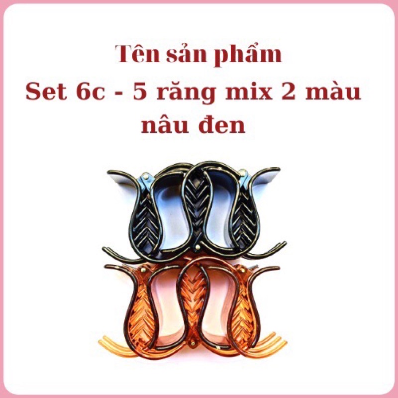 Kẹp càng cua 5 răng