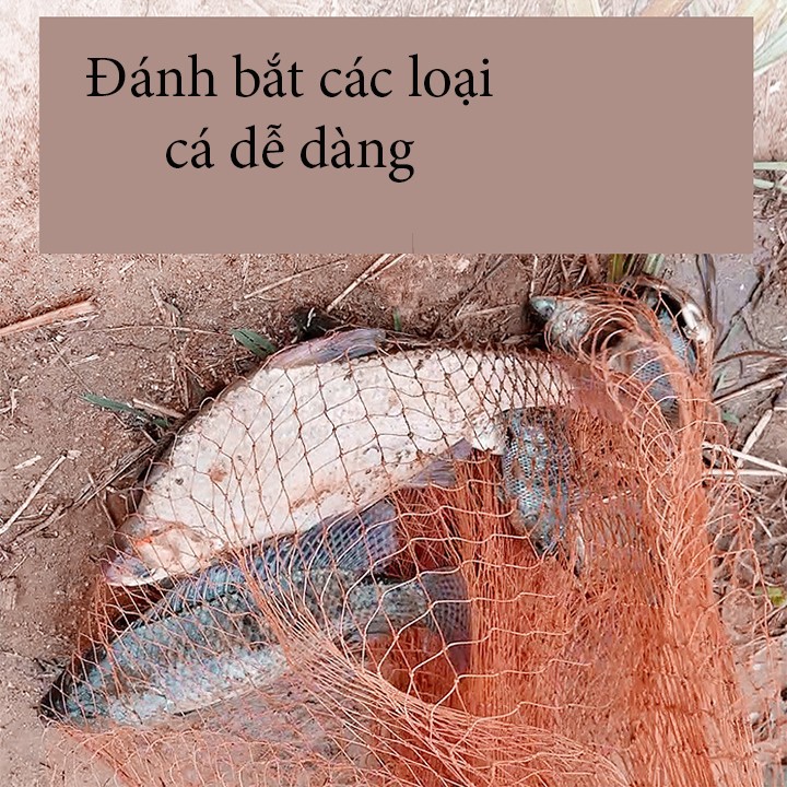 Chài Dù Bắt Cá Cao Cấp Bung 5m-6m-8m