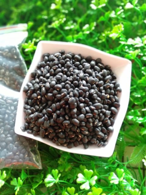 ĐẬU ĐEN XANH LÒNG