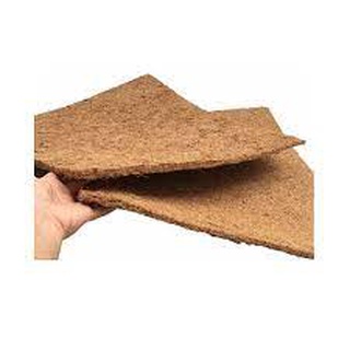 Thảm xơ dừa 50x50x1cm trồng lan, giữ ẩm cho đất