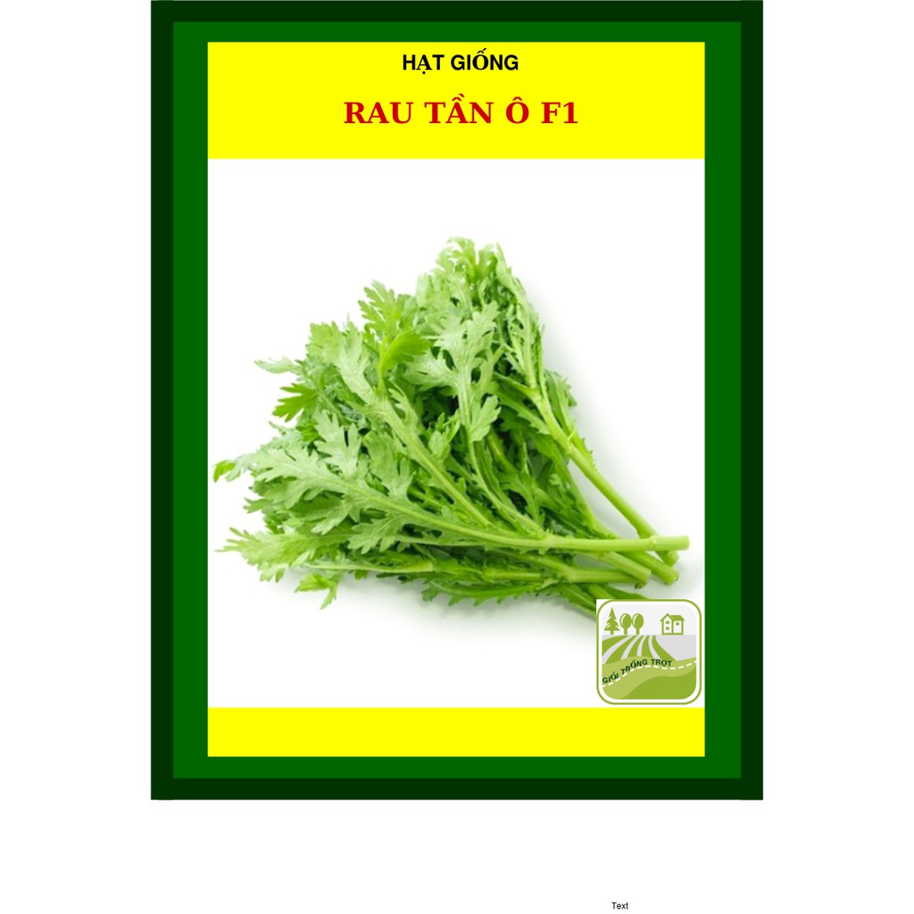 20G - Hạt Giống Rau Tần Ô