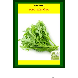 20G - Hạt Giống Rau Tần Ô (Cải Cúc)