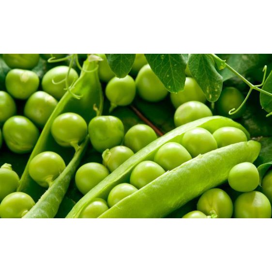 Hạt giống đậu Hà Lan gói 50g