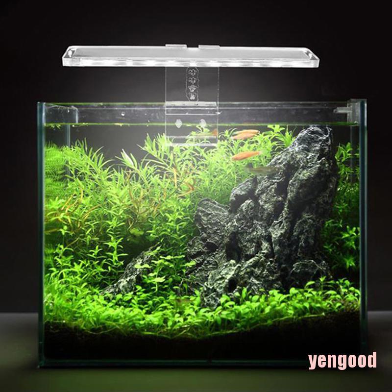 Đèn led trang trí bể cá chất lượng cao