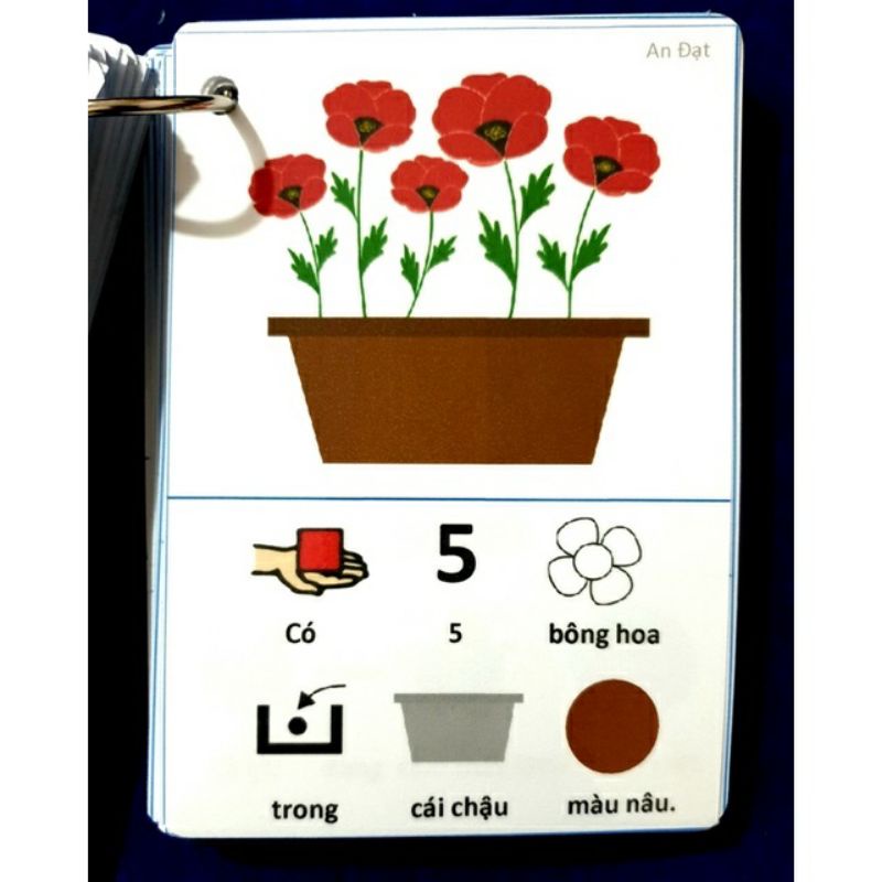 Thẻ tranh dạy trẻ tập nói câu 220 thẻ