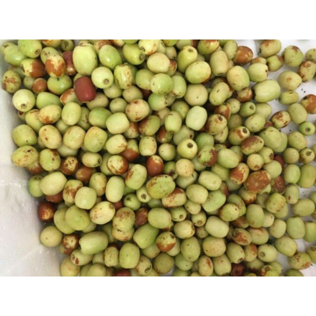 Chuyên sỉ 2kg Táo tàu khô thuốc Bắc chuẩn ngon