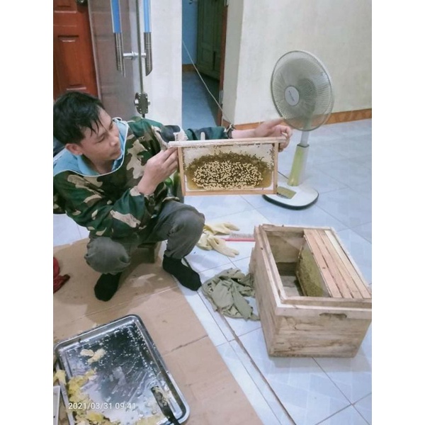 Mật ong hoa nhãn hoa vải Ninh Bình( cam kết 100% nguyên chất)